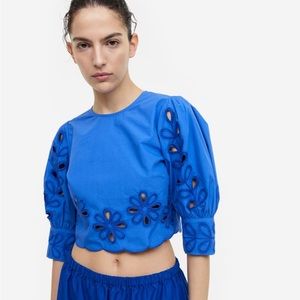 NWT puff sleeve embroidered blouse from H&M